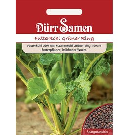 Dürr Samen Futterkohl Grüner Ring