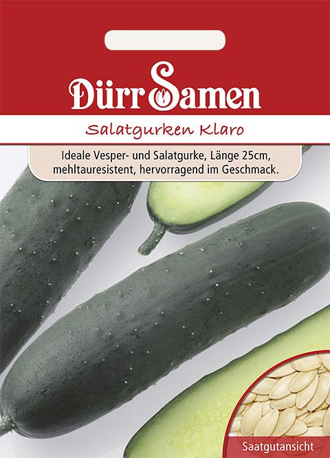 Dürr Samen Salatgurken  Klaro