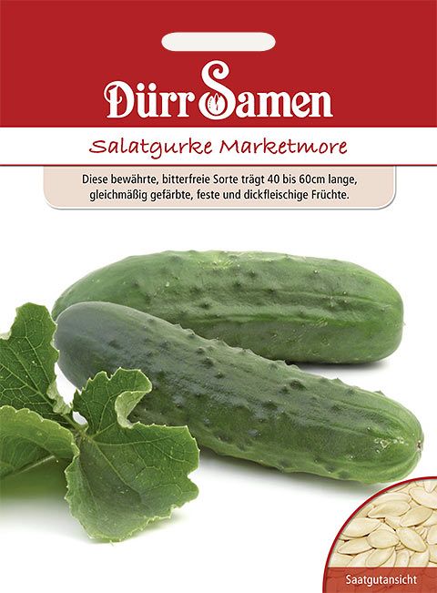 Dürr Samen Salatgurken  Marketmore