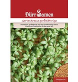 Dürr Samen Gartenkresse großblättrige (Vorteilspackung)