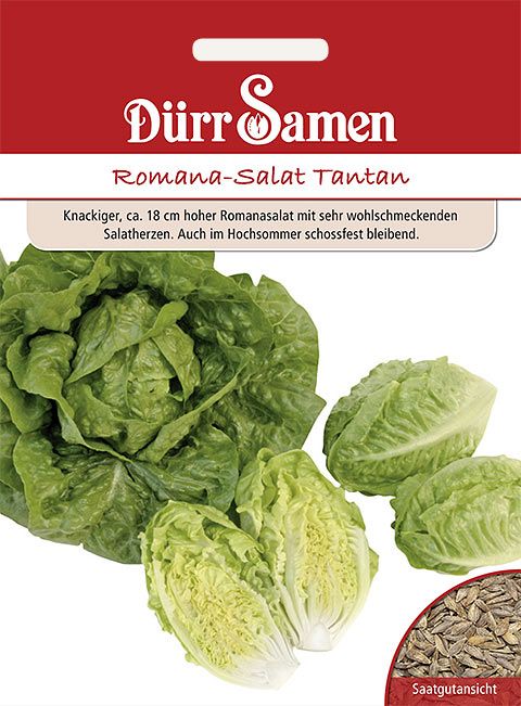 Dürr Samen Romana-Salat  Tantan