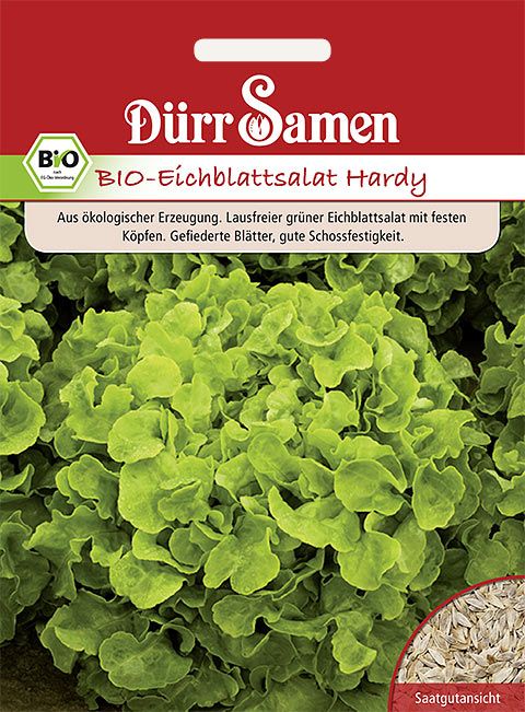 Dürr Samen BIO-Eichblattsalat  Hardy grün