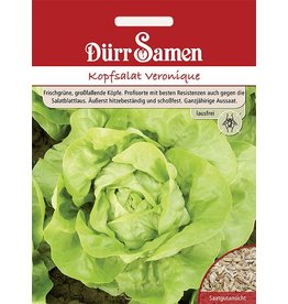 Dürr Samen Kopfsalat  Veronique