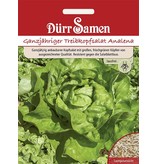 Dürr Samen Treibkopfsalat  Analena