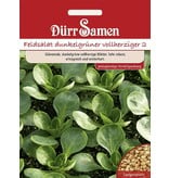 Dürr Samen Feldsalat  Dunkelgrüner vollherziger (Vorteilspackung)