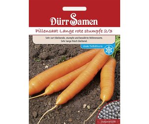 Pillensaat Mhren Lange rote stumpfe 2/3 - Saat & Gut