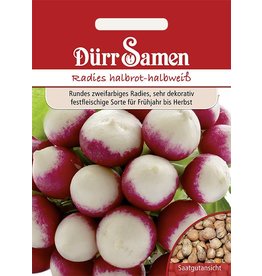 Dürr Samen Radies  Halbrot-Halbweiß