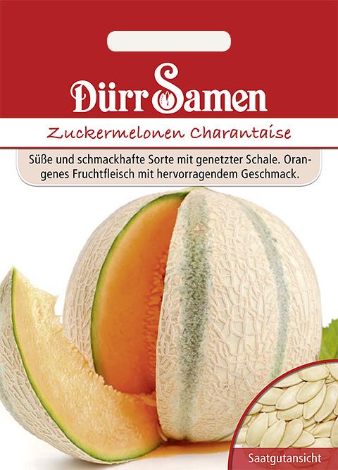 Dürr Samen Zuckermelone  Charantaise