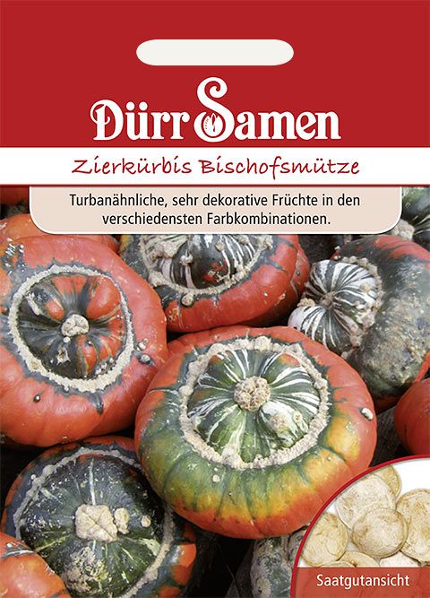 Dürr Samen Zierkürbis Bischofsmütze