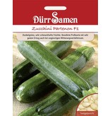 Dürr Samen Zucchini Partenon F1