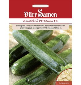 Dürr Samen Zucchini Partenon F1