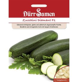 Dürr Samen Zucchini  Diamant F1