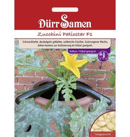 Dürr Samen Zucchini  Patiostar F1