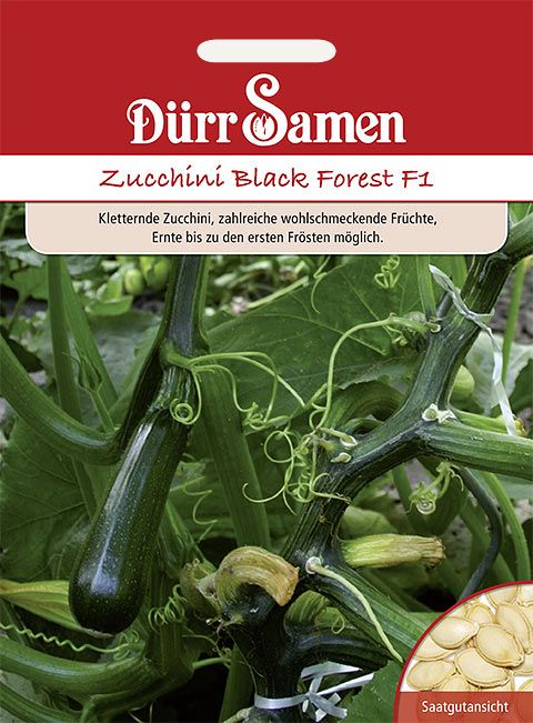 Dürr Samen Zucchini  Black Forest F1