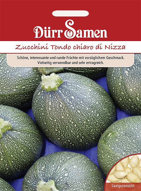 Dürr Samen Zucchini Tondo chiaro di Nizza