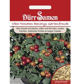 Dürr Samen Tomaten Benarys Gartenfreude