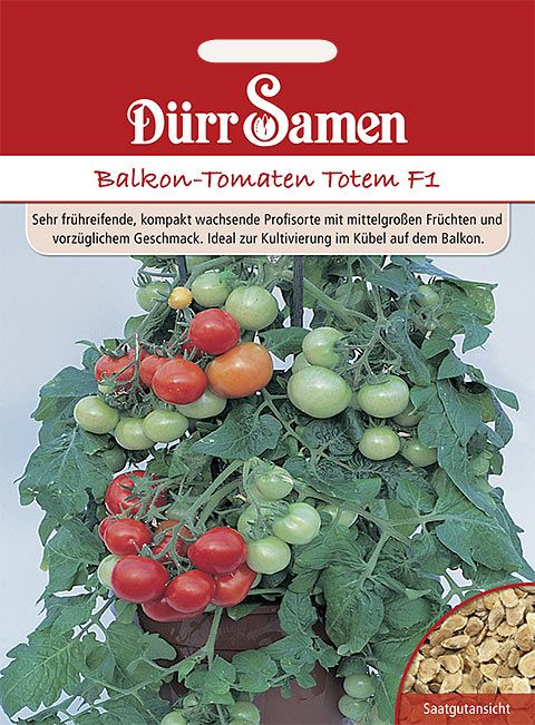 Dürr Samen Balkontomaten  Totem F1