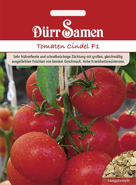 Dürr Samen Tomaten  Cindel F1