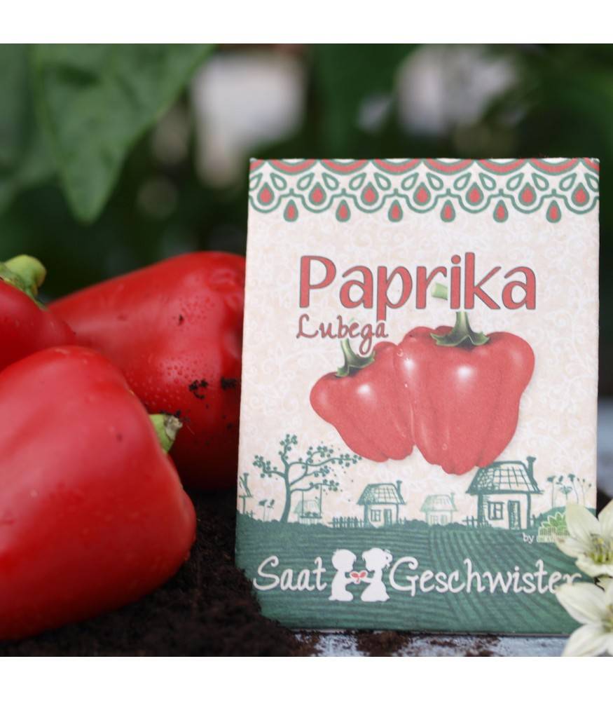 Stadtgärtner Saatgeschwister - Paprika Lubega Red