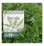 Stadtgärtner Saatgeschwister - BIO Rucola Grazia