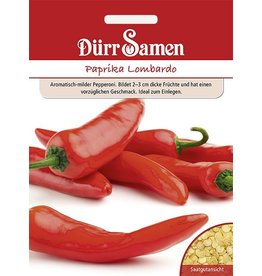 Dürr Samen Paprika  Lombardo