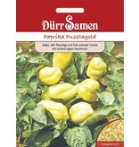 Dürr Samen Paprika  Pusztagold