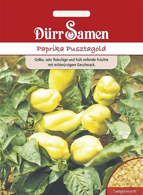 Dürr Samen Paprika  Pusztagold