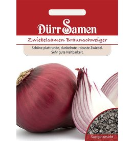 Dürr Samen Sommerzwiebeln  Braunschweiger