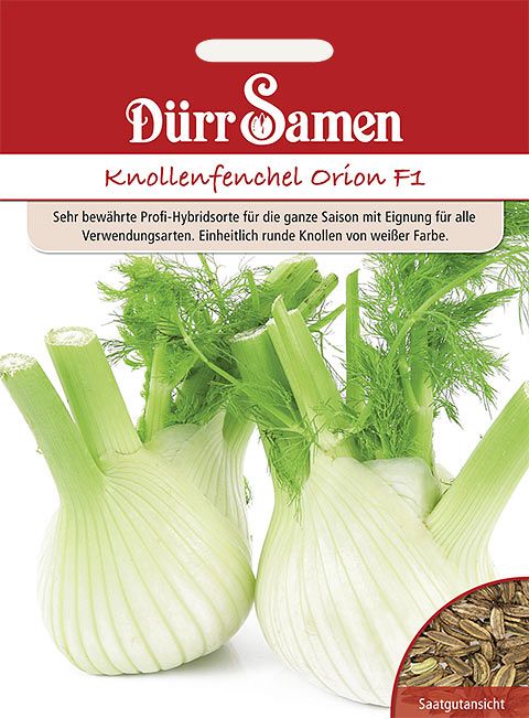 Dürr Samen Knollenfenchel  Orion F1