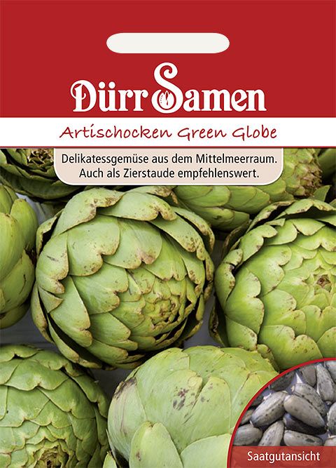 Dürr Samen Artischocken Green Globe