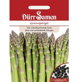 Dürr Samen Grünspargel