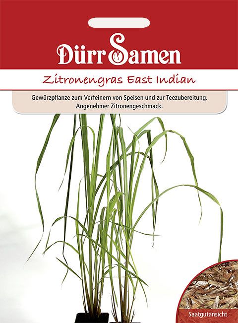 Dürr Samen Zitronengras  East Indian