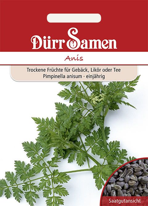 Dürr Samen Anis