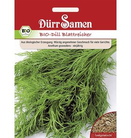 Dürr Samen BIO-Dill blattreicher