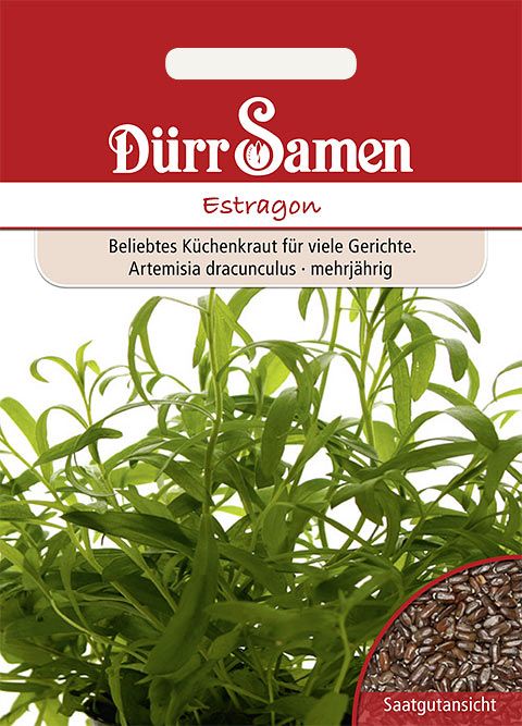 Dürr Samen Estragon