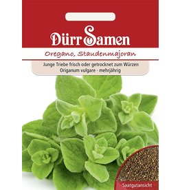 Dürr Samen Oregano Staudenmajoran