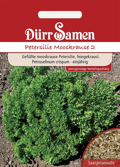 Dürr Samen Petersilie  Mooskrause 2 (Vorteilspackung)