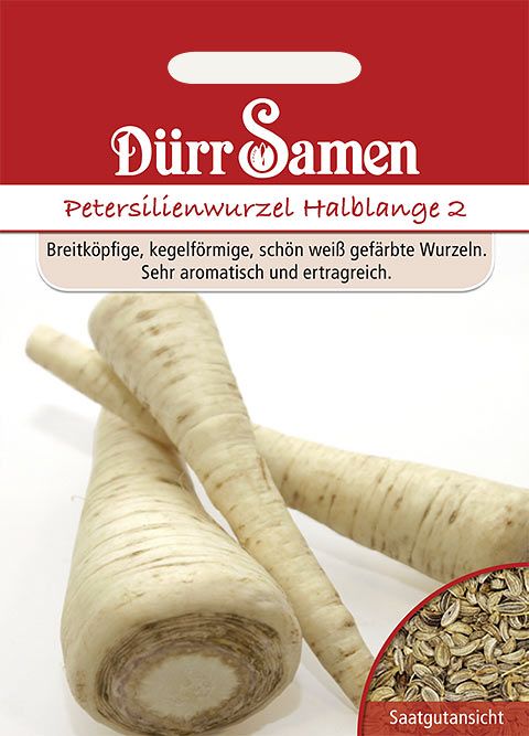 Dürr Samen Petersilienwurzel Halblange 2