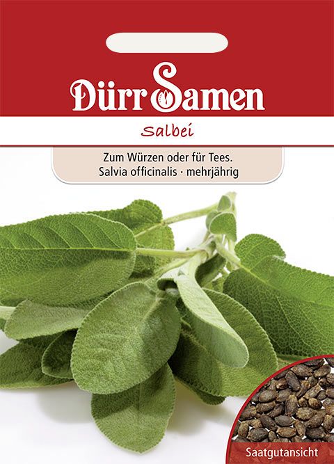 Dürr Samen Salbei