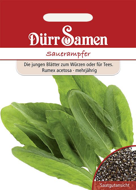 Dürr Samen Sauerampfer