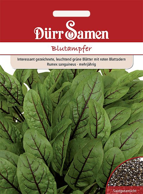 Dürr Samen Blutampfer