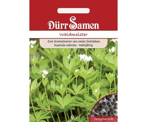 künstlicher olivenbaum wie echt Künstlicher Olivenbaum - Ilias | 270 cm