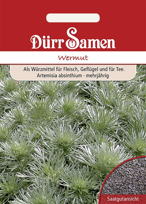 Dürr Samen Wermut