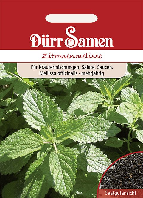 Dürr Samen Zitronenmelisse