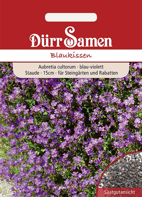 Dürr Samen Blaukissen