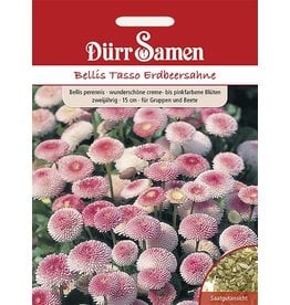 Dürr Samen Gänseblümchen  Bellis Erdbeersahne, zweijährig, 15cm