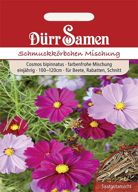 Dürr Samen Cosmea  Prachtmischung, einjährig, 100–120cm