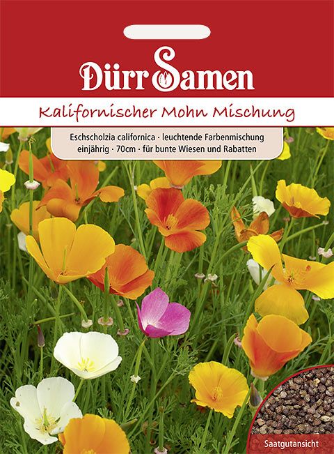 Dürr Samen Kalifornischer Mohn Leuchtende Farbmischung, einjährig, 70cm