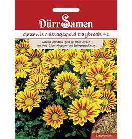 Dürr Samen Gazania  Daybreak Red Stripe F1