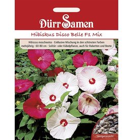 Dürr Samen Hibiscus  Disco Belle F1 Mix